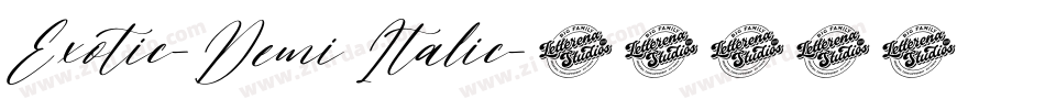 Exotic-Demi Italic字体转换